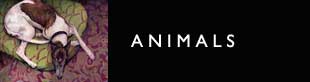 Animals Navigation